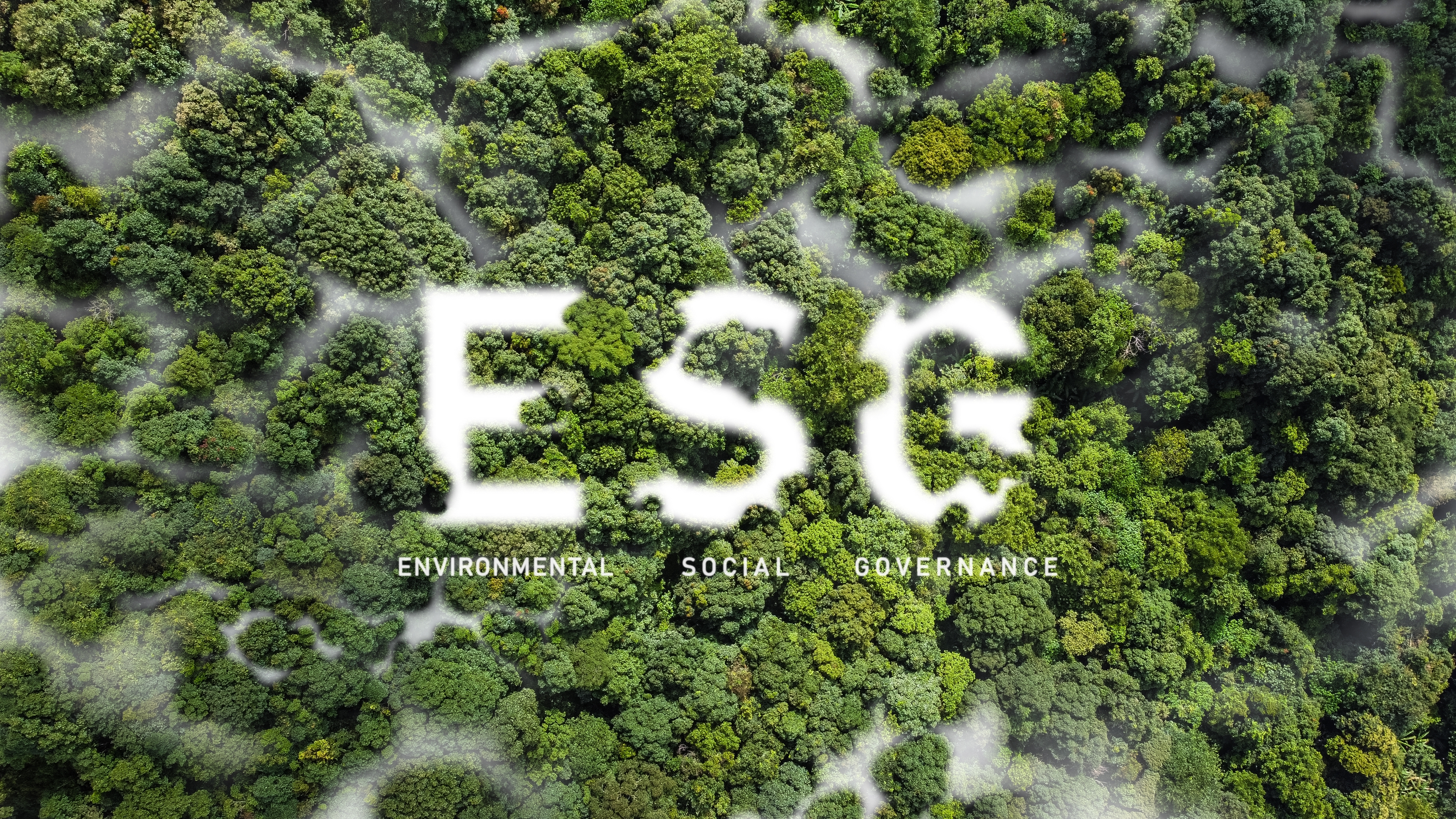 軟通動力のESGが2年連続業(yè)界1位に再びWindの中國上場企業(yè)ESGベストプラクティストップ100にランクイン